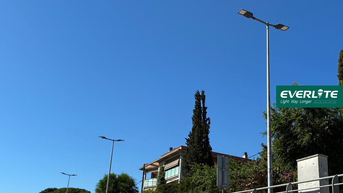 هر خیابان غرور ما را نگه می دارد